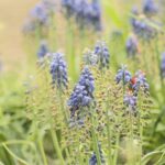 Pavasario sodo paruošimas: 10 lengvų darbų su žeme, augalais ir laistymo sistema, Pexels nuotrauka