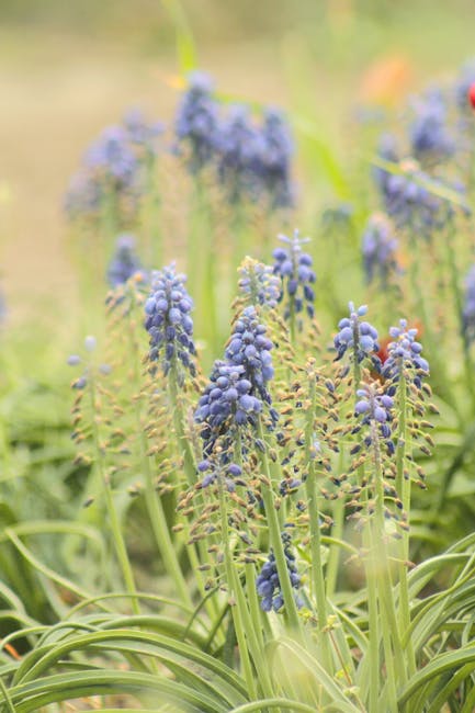 Pavasario sodo paruošimas: 10 lengvų darbų su žeme, augalais ir laistymo sistema, Pexels nuotrauka