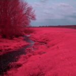 Buitinių vandens filtrų palyginimas: nuotraukoje matyti virtuvinis, dušinis ir pagrindinis vandens filtrai šalia kriauklės.