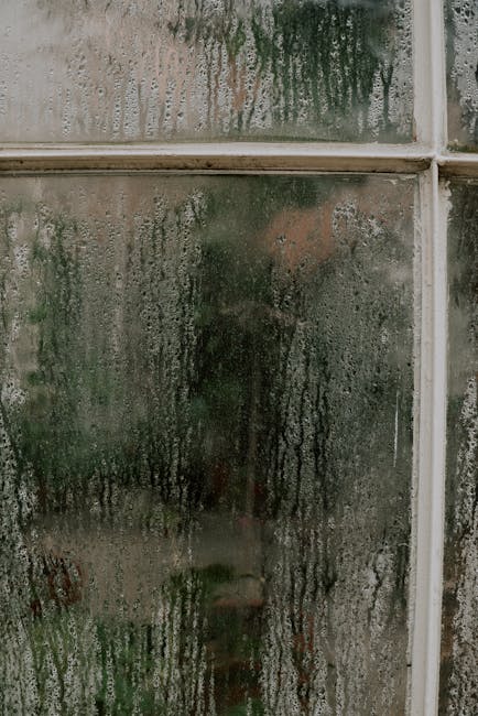 Kondensatas ir drėgmės dėmės lango kampe po renovacijos