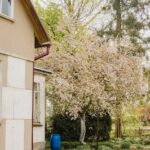 Žalias sodas su žole ir gėlėmis, vaizduojančiu Dažniausios lauko priežiūros klaidos: ką daryti kitaip tvarkingumui.