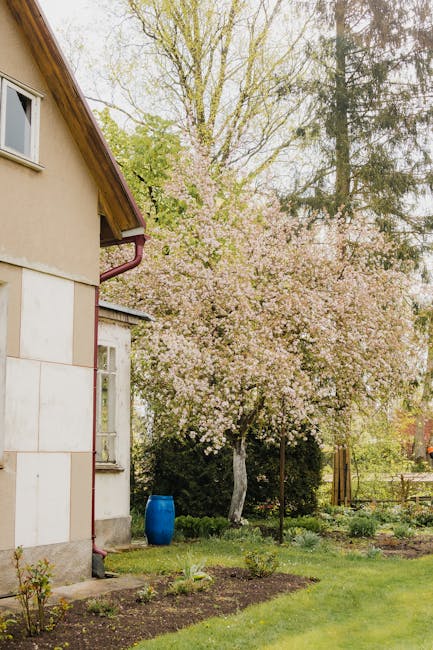 Žalias sodas su žole ir gėlėmis, vaizduojančiu Dažniausios lauko priežiūros klaidos: ką daryti kitaip tvarkingumui.