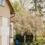 Išsamus gidas: kaip pasirinkti lauko lietaus vandens surinkimo sistemą – lietaus latakas fiksuoja vandenį sode