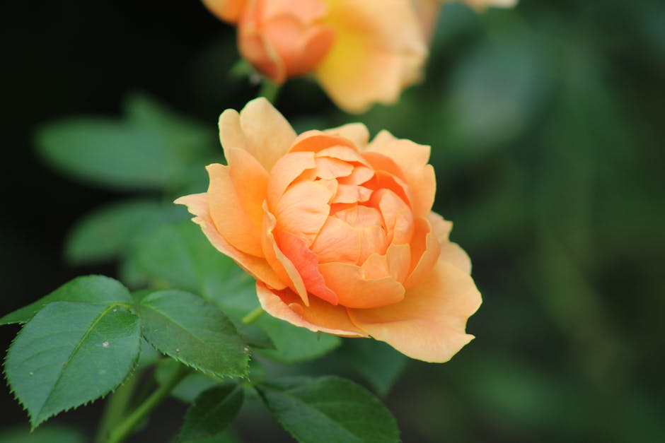 Pasidaryk pats vėdinimui: virtuvėje ir vonioje matomas oro cirkuliacijos sprendimas nuo drėgmės (Pexels)