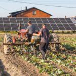 Saulės elektrinės pradmenys: stogo saulės baterijų sistema, saulės spinduliai ir investicijų atsipirkimo planavimas