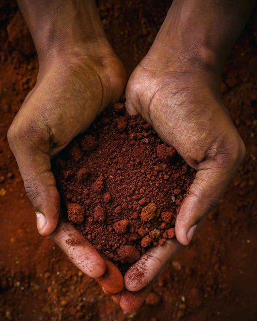 Rankoje apžiūrima dirva, suspaustas gumulas ir žemės struktūros įvertinimas