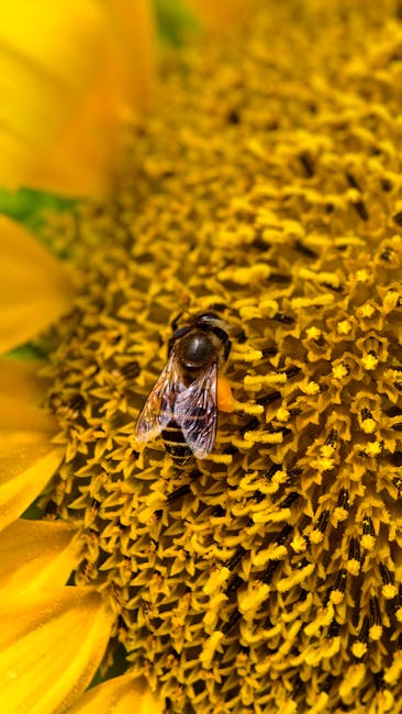 Trąšų ir dirvos tipų palyginimas sodui: skirtingoms kultūroms tinkančios trąšos ir dirvožemis, Pexels.