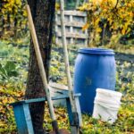 Sodo darbai pagal sezoną: pavasarį, vasarą, rudenį ir žiemą – sodo priežiūros darbai lauke, Pexels stilius