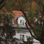 Namų vėdinimo sistemos palyginimas: mechaninis, rekuperacinis ir vėdinimas per langus – švarus oras namuose