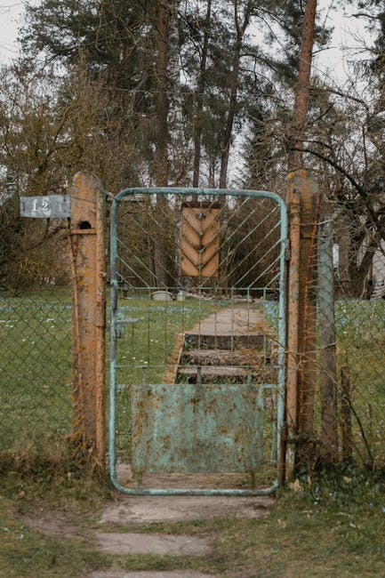 Sezoniniai kiemo darbai: 12 praktiškų užduočių, kurias atlikti kiekvieną mėnesį – žmogus prižiūri sodą