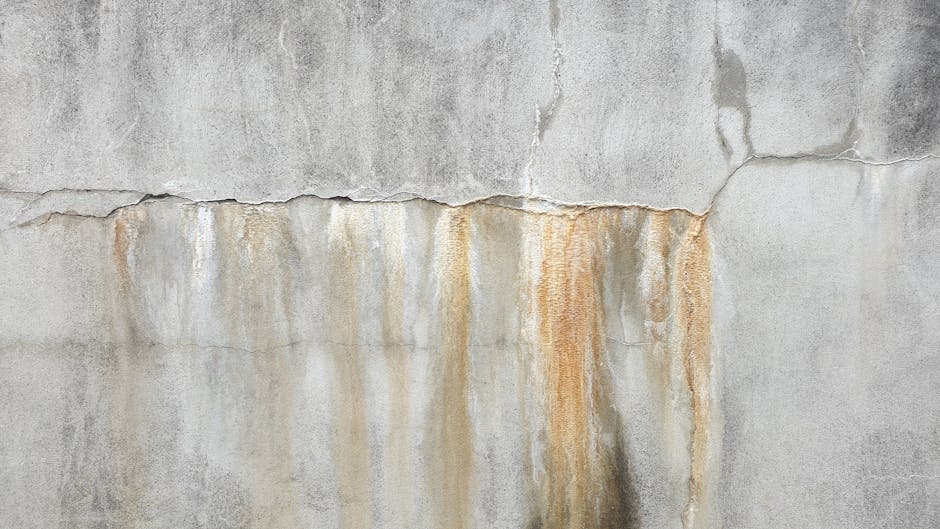 Moisture stain on an interior wall near a corner, indicating a possible hidden leak